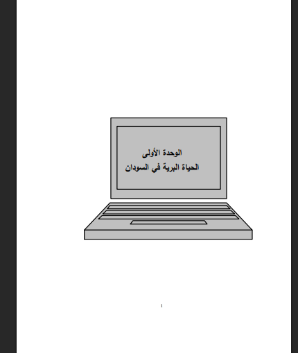 there is no image